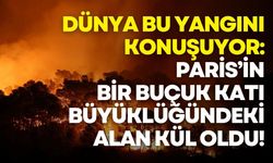 Fransa'da Paris'in bir buçuk katı büyüklüğündeki alan kül oldu