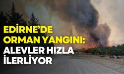 Edirne’de orman yangını: Alevler hızla ilerliyor