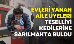 Evi yanan aile üyeleri, kedilerine sarılarak ağladı