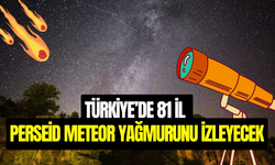 Saatte 100 meteorun düşeceği Perseid meteor yağmuru başlıyor