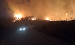 Hatay’da 3 ilçede yangın alarmı: Bin 115 kişi tahliye edildi