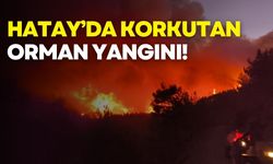 Hatay’da korkutan orman yangını!