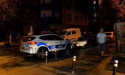 Tartışmayı ayırmak isteyen kadın vuruldu