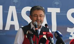 Bakan Yumaklı: Fındıktaki zirai don için 2,3 milyar lira tazminat ödenecek