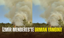 İzmir Menderes’te orman yangını