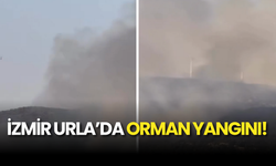 İzmir Urla’da Orman Yangını!