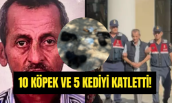 İzmir’de Şok Olay: Zehirli Etle 10 Köpek ve 5 Kedinin Canını Aldı!