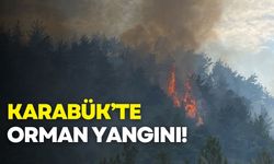 Karabük’te orman yangını: Ekipler seferber oldu