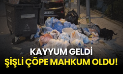 Kayyum Geldi, Şişli Çöpe Döndü!