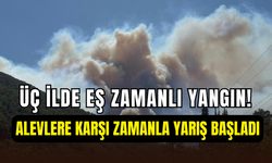 Kocaeli, Bartın ve Bursa’da eş zamanlı orman yangını