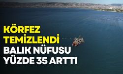 İzmit Körfezi temizlendi, balık nüfusu yüzde 35 arttı!