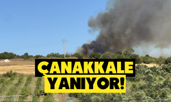 Çanakkale'de Orman Yangınına Havadan ve Karadan Müdahale Sürüyor