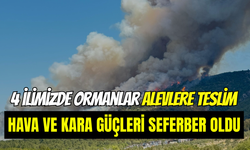 Manisa, Bolu, Mersin ve Kahramanmaraş’ta orman yangını çıktı