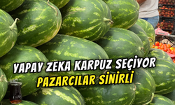 Yapay Zeka Karpuz Seçiminde Pazarcıya Meydan Okudu!