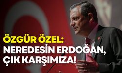 Özgür Özel: Neredesin Erdoğan, çık karşımıza!