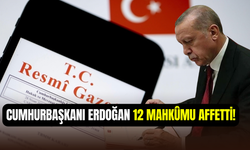 Resmi Gazete’de yayımlandı: Sivas katliamı ve FETÖ hükümlüleri affedildi