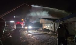 Sakarya’da boya fabrikasında yangın