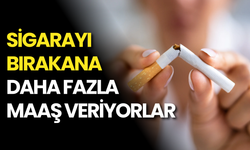 Sigarayı Bırakana Daha Fazla Maaş Veriyorlar!