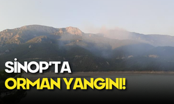 Sinop'ta Orman Yangını: Bir Köy Tahliye Edildi, Müdahale Havadan ve Karadan Sürüyor