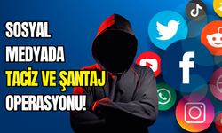 Sosyal medyadaki cinsel taciz tuzağı çökeltildi: 20 kişi gözaltında