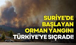 Suriye’deki orman yangını Hatay’a sıçradı