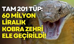 Burdur’da 60 milyon liralık kobra zehri operasyonu