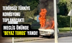 TBMM önünde ‘Beyaz Toros’ yandı: 1 kişi gözaltında