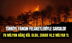 Türkiye’de 2025 yılının yangın bilançosu: 70 milyon ağaç kül oldu