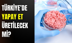 Türkiye’de yapay et üretilecek mi? Bakan Yumaklı’dan İklim Kanunu açıklaması
