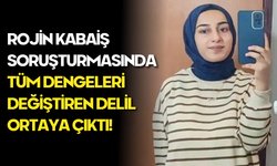 Van Gölünde Cansız Bedeni Bulunan Rojin Kabaiş Davasının Seyrini Değiştirecek Gelişme!