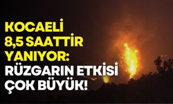 Kocaeli'deki orman yangını 8,5 saattir sürüyor: Bir köy tahliye edildi