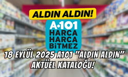 18 Eylül 2025 A101 "Aldın Aldın" Aktüel Kataloğu! Elektrikli Moped, Saç Düzleştirici, Şarjlı Dik Süpürge, Televizyon…