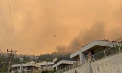 Alanya’da orman yangını yerleşim yerlerine çok yaklaştı