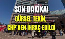 Gürsel Tekin, CHP'den ihraç edildi