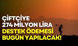Çiftçiye 274,8 milyon lira destek ödemesi