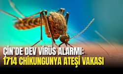 Çin’de Dev Virüs Alarmı: 1714 Chikungunya Ateşi Vakası
