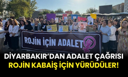 Diyarbakır’dan “Rojin Kabaiş İçin Adalet!” Çağrısı!