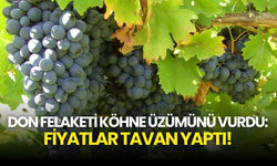 Don Felaketi Köhne Üzümünü Vurdu: Fiyatlar Tavan Yaptı!