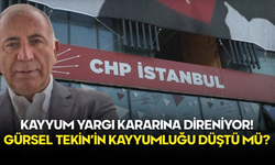 Gürsel Tekin’in Kayyumluğu Düştü mü?