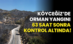Köyceğiz’de Orman Yangını 63 Saat Sonra Kontrol Altında!