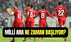 Milli ara ne zaman başlıyor, ne zaman bitiyor 2025?