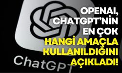 OpenAI araştırdı: ChatGPT artık daha çok “özel hayat” için kullanılıyor
