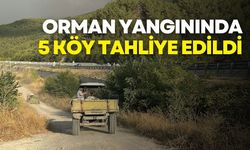 Kastamonu-Karabük sınırında orman yangını: 5 köy tahliye edildi