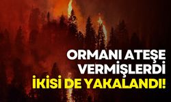 Maltepe’de ormanı yakan 2 kişi hakkında adli işlem!