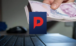 PayPole Nedir, Ne İşe Yarar?