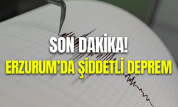 Son dakika: Erzurum'da 4,4 büyüklüğünde deprem meydana geldi