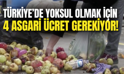 Türkiye’de Yoksul Olmak İçin 4 Asgari Ücret Gerekiyor!