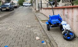 4 Yaşındaki Torununu Kurtarmak İsterken Canından Oldu!