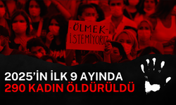 Aile Yılı ilan edilmişti: 2025 yılının ilk 9 ayında 290 kadın öldürüldü