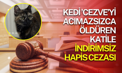Cezve’yi acımasızca öldüren sanığa indirimsiz 3 yıl 8 ay hapis cezası verildi